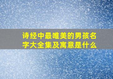 诗经中最唯美的男孩名字大全集及寓意是什么