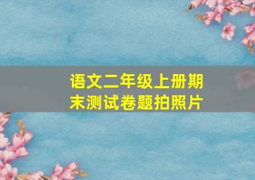 语文二年级上册期末测试卷题拍照片