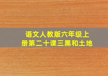 语文人教版六年级上册第二十课三黑和土地