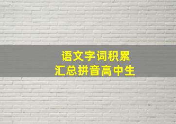 语文字词积累汇总拼音高中生