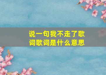 说一句我不走了歌词歌词是什么意思