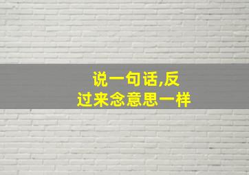 说一句话,反过来念意思一样