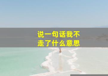 说一句话我不走了什么意思