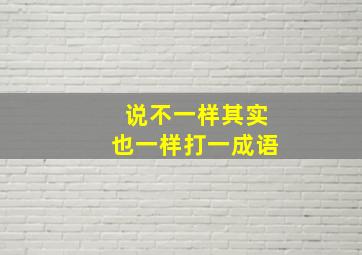 说不一样其实也一样打一成语