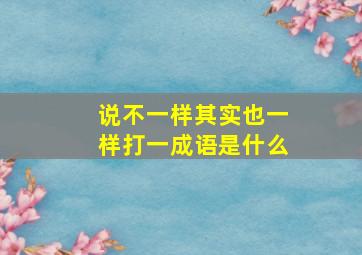 说不一样其实也一样打一成语是什么