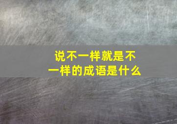 说不一样就是不一样的成语是什么