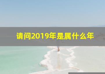 请问2019年是属什么年