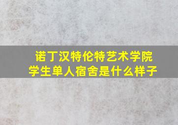 诺丁汉特伦特艺术学院学生单人宿舍是什么样子