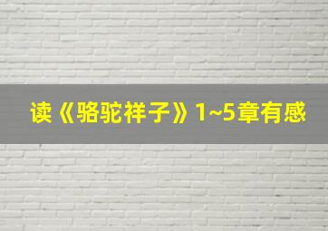 读《骆驼祥子》1~5章有感