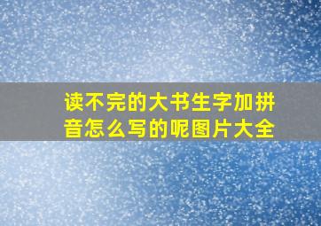 读不完的大书生字加拼音怎么写的呢图片大全