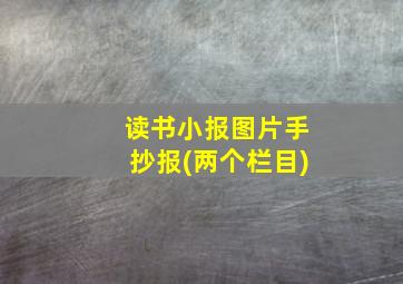 读书小报图片手抄报(两个栏目)