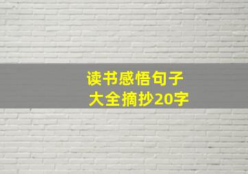 读书感悟句子大全摘抄20字