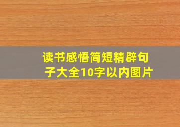 读书感悟简短精辟句子大全10字以内图片