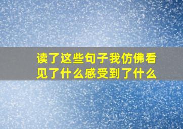 读了这些句子我仿佛看见了什么感受到了什么