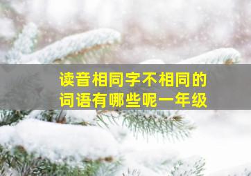 读音相同字不相同的词语有哪些呢一年级