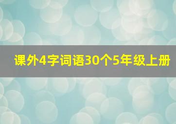 课外4字词语30个5年级上册