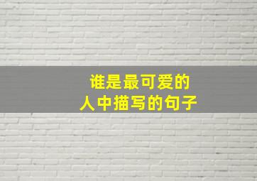 谁是最可爱的人中描写的句子