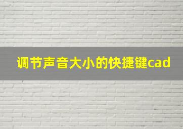 调节声音大小的快捷键cad