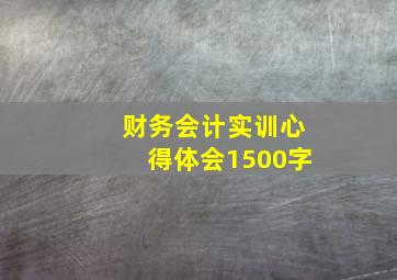 财务会计实训心得体会1500字