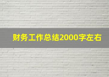 财务工作总结2000字左右