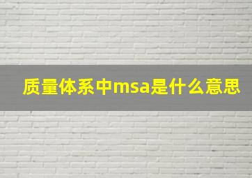 质量体系中msa是什么意思