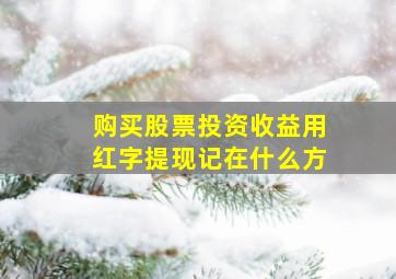 购买股票投资收益用红字提现记在什么方