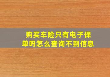 购买车险只有电子保单吗怎么查询不到信息