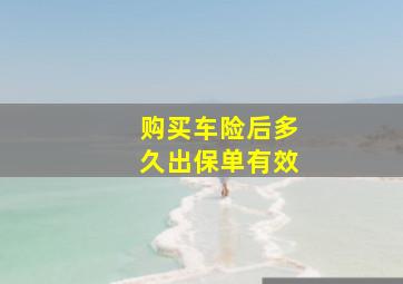 购买车险后多久出保单有效