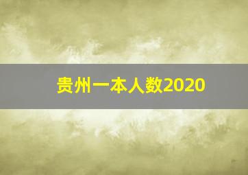 贵州一本人数2020