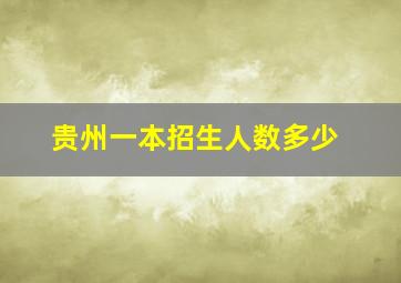 贵州一本招生人数多少