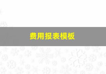 费用报表模板