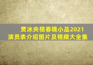 贾冰央视春晚小品2021演员表介绍图片及视频大全集