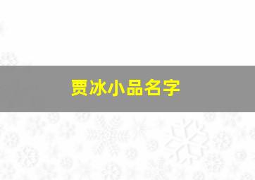 贾冰小品名字