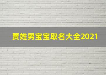 贾姓男宝宝取名大全2021