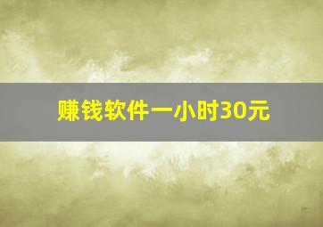 赚钱软件一小时30元