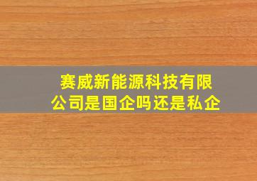 赛威新能源科技有限公司是国企吗还是私企