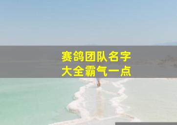 赛鸽团队名字大全霸气一点