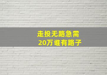 走投无路急需20万谁有路子