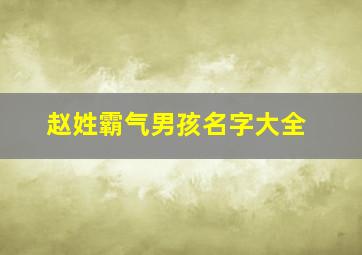 赵姓霸气男孩名字大全