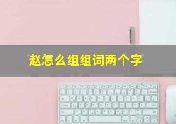 赵怎么组组词两个字