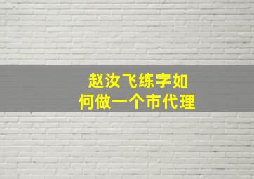 赵汝飞练字如何做一个市代理