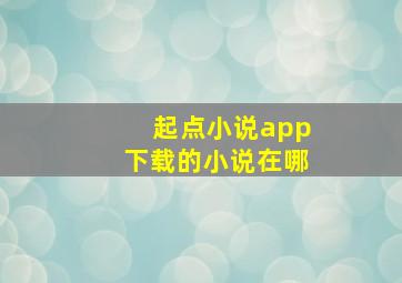 起点小说app下载的小说在哪