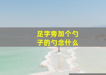 足字旁加个勺子的勺念什么