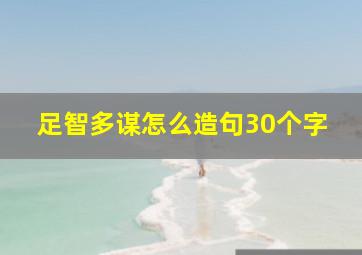 足智多谋怎么造句30个字