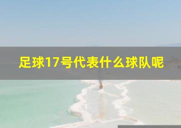 足球17号代表什么球队呢