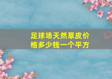 足球场天然草皮价格多少钱一个平方