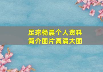 足球杨晨个人资料简介图片高清大图