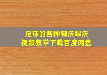 足球的各种脚法踢法视频教学下载百度网盘