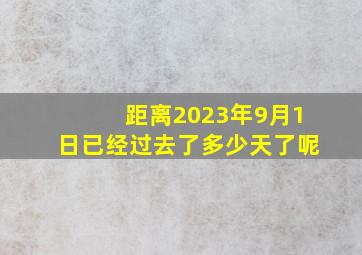 距离2023年9月1日已经过去了多少天了呢