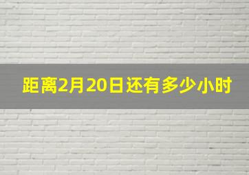 距离2月20日还有多少小时